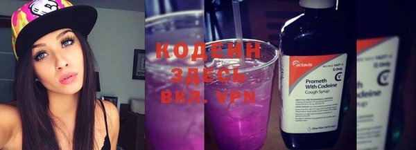 хмурый Белокуриха