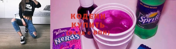 хмурый Белокуриха