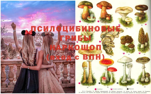 альфа пвп Баксан