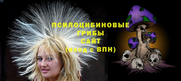 хмурый Белокуриха