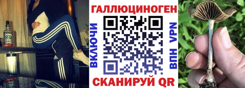 Псилоцибиновые грибы Psilocybe  хочу наркоту  Вышний Волочёк 